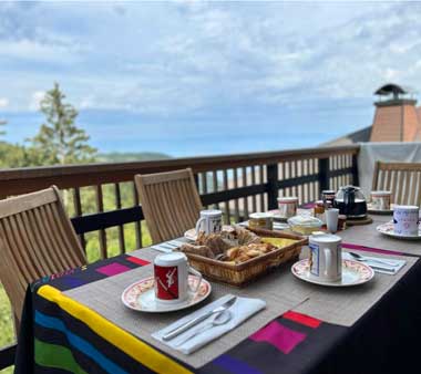 Olivier sur terrasse